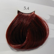 Black Sintesis Color Creme 5.4 - Castano Chiaro Rame 100 ml