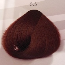 Black Sintesis Color Creme 5.5 - Castano Chiaro Mogano 100 ml