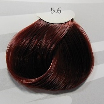 Black Sintesis Color Creme 5.6 - Castano Chiaro Porpora 100 ml